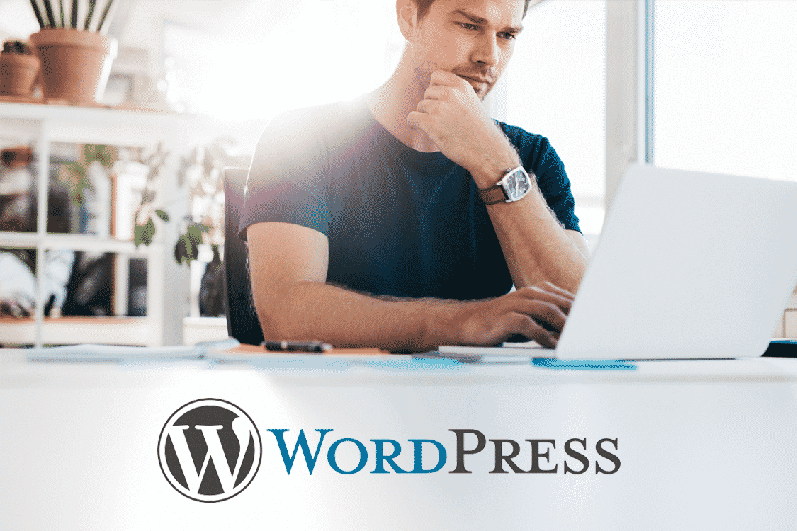 Mise à jour CMS wordpress