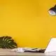 Les tendances pour un site web performant